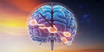 A Prevenção Começa ao Amanhecer: Luz Solar Para um Cérebro Saudável