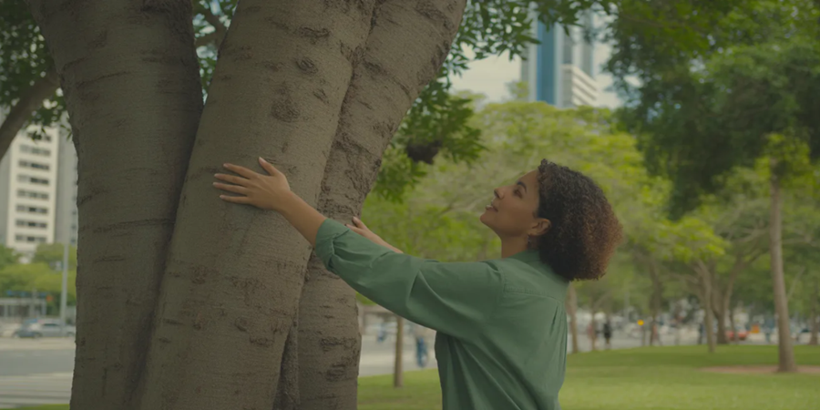 Jovens têm recorrido à terapia florestal como alternativa emocional em meio à vida urbana intensa.